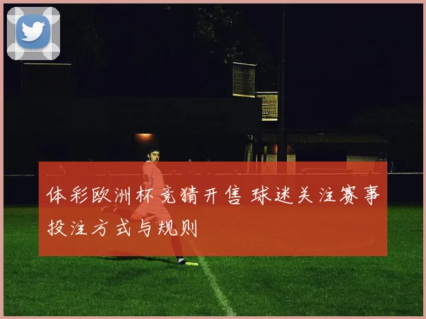 体彩欧洲杯竞猜开售 球迷关注赛事投注方式与规则