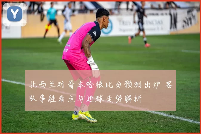 北西兰对哥本哈根比分预测出炉 客队争胜看点与进球走势解析