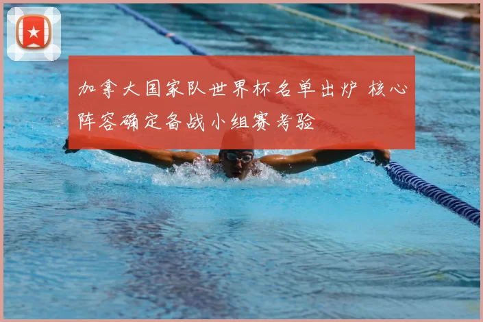 加拿大国家队世界杯名单出炉 核心阵容确定备战小组赛考验