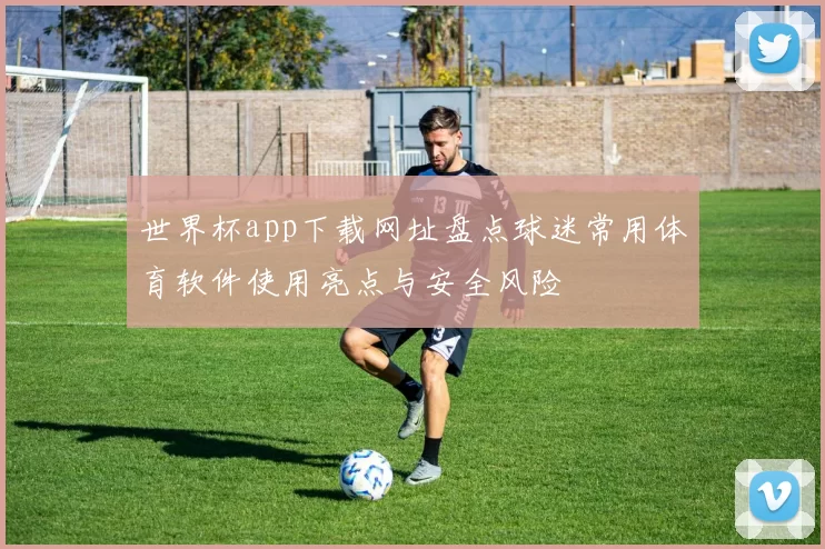 世界杯app下载网址盘点球迷常用体育软件使用亮点与安全风险