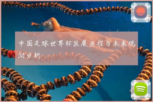 中国足球世界杯发展历程与未来规划分析