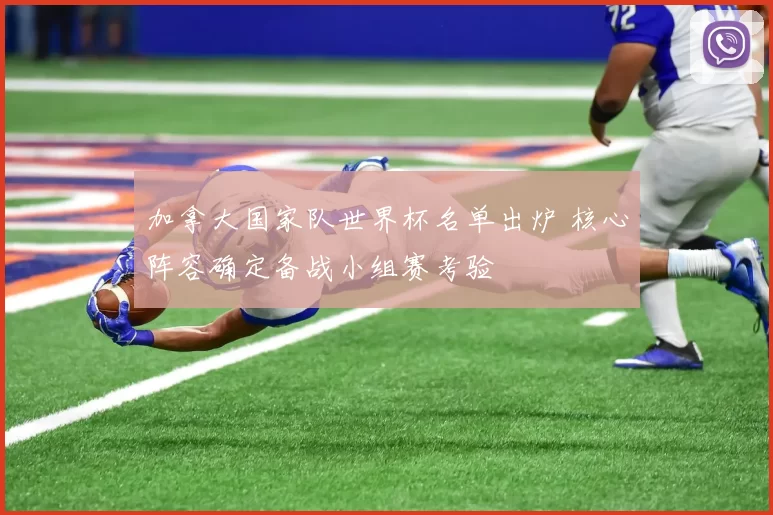 加拿大国家队世界杯名单出炉 核心阵容确定备战小组赛考验